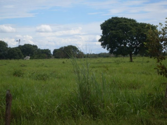 Imagem Imóvel à Venda,  em Região Do Araguaia Xingu - São Félix Do Araguaia