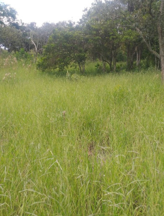 Terreno à Venda, 100 m² em Bandeira Branca - Jacareí