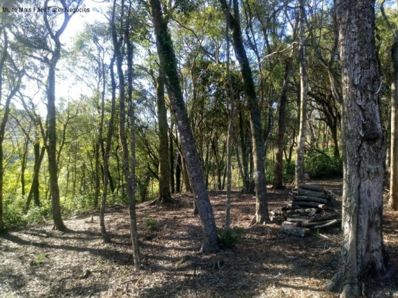 Imagem Terreno à Venda, 1.646 m² em Pousada Da Neve - Nova Petrópolis Imagem Terreno à Venda, 1.646 m² em Pousada Da Neve - Nova Petrópolis