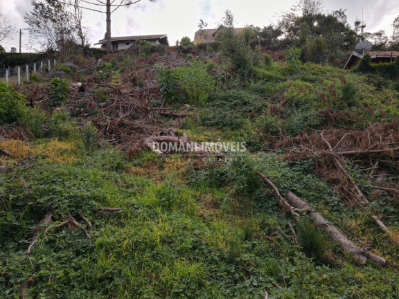 Imagem Terreno à Venda, 1.110 m² em Região De Descansópolis - Campos Do Jordão
