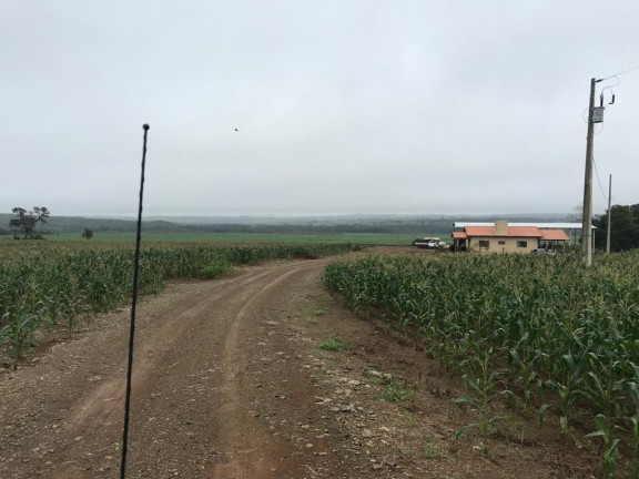 Imagem Fazenda à Venda, 750 m² em Rural - Bela Vista Imagem Fazenda à Venda, 750 m² em Rural - Bela Vista