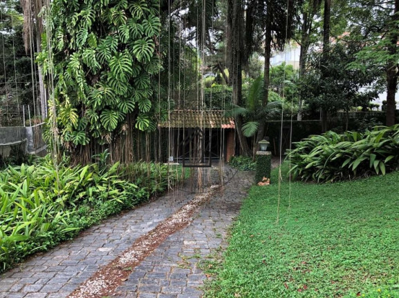 Imagem Casa com 3 Quartos à Venda, 2.488 m² em Vila Santo Antônio - Cotia
