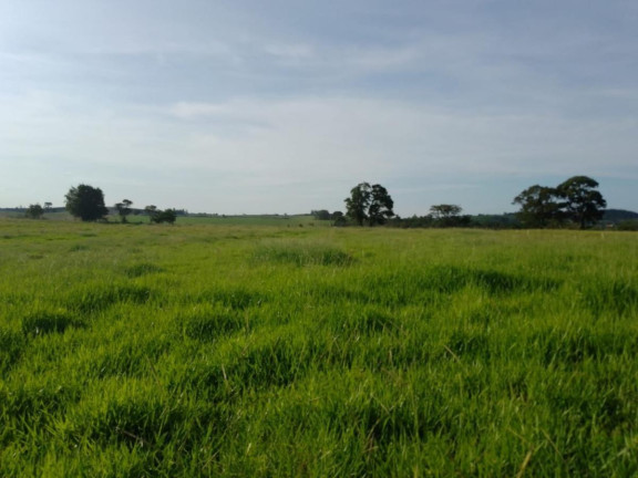 Imagem Chácara à Venda, 16 m² em Rural - Itapetininga Imagem Chácara à Venda, 16 m² em Rural - Itapetininga