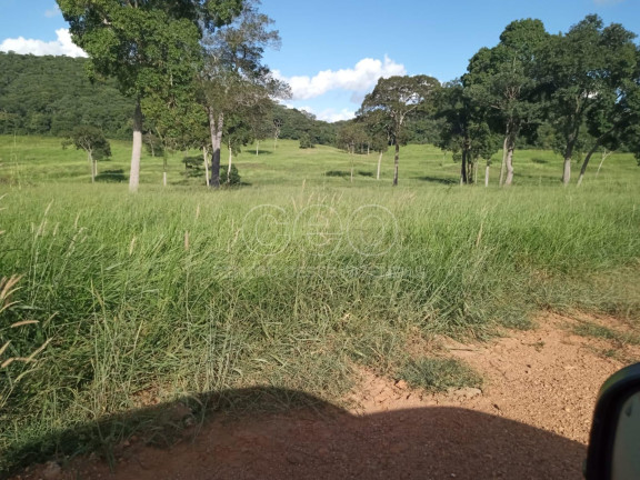 Fazenda à Venda,  em Zona Rural - Caceres
