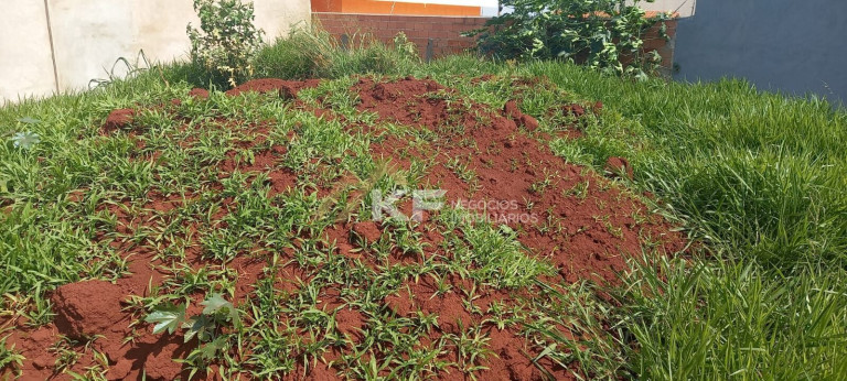 Imagem Terreno à Venda, 266 m² em Centro - Cravinhos Imagem Terreno à Venda, 266 m² em Centro - Cravinhos