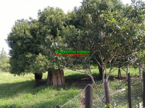Imagem Chácara com 1 Quarto à Venda, 42.000 m² em Centro - Caçapava