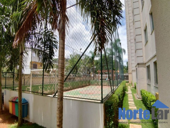 Imagem Apartamento com 2 Quartos à Venda, 44 m² em Jardim Santa Terezinha (zona Leste) - São Paulo Imagem Apartamento com 2 Quartos à Venda, 44 m² em Jardim Santa Terezinha (zona Leste) - São Paulo