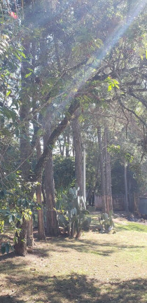 Imagem Fazenda à Venda, 5 m² em Centro - Guareí Imagem Fazenda à Venda, 5 m² em Centro - Guareí