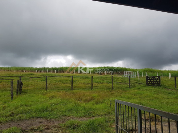 Imagem Imóvel com 2 Quartos à Venda, 800.000 m² em Zona Rural - Cajuru Imagem Imóvel com 2 Quartos à Venda, 800.000 m² em Zona Rural - Cajuru