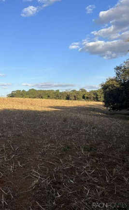 Imagem Fazenda à Venda, 710.000 m² em Perdizes - Perdizes Imagem Fazenda à Venda, 710.000 m² em Perdizes - Perdizes