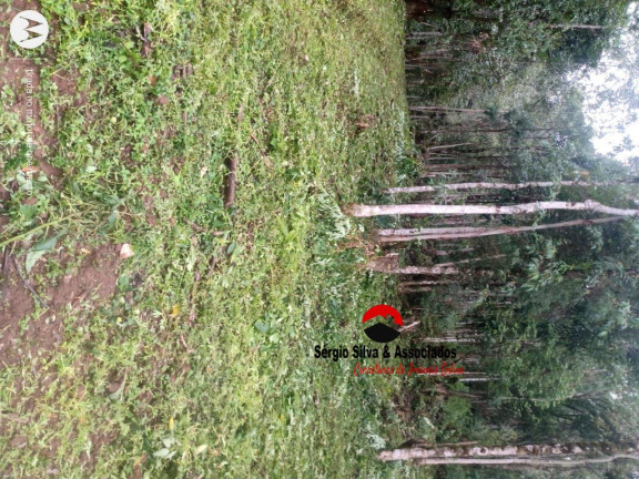 Imagem Terreno à Venda, 8 m² em Bairro Do Centro - Piranguçu Imagem Terreno à Venda, 8 m² em Bairro Do Centro - Piranguçu