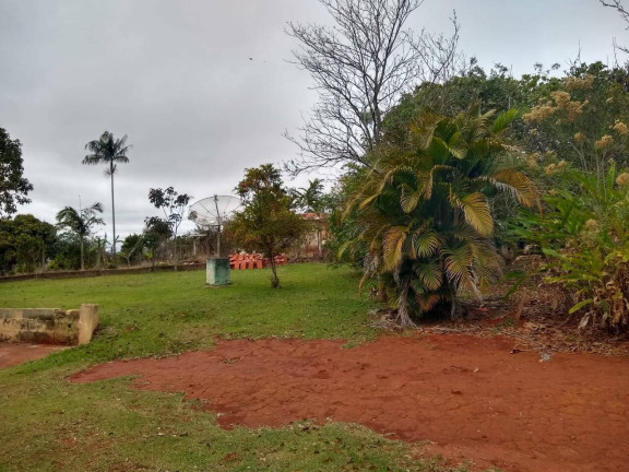 Imagem Chácara com 3 Quartos à Venda, 2.642 m² em Jardim Cananeia - Pilar Do Sul Imagem Chácara com 3 Quartos à Venda, 2.642 m² em Jardim Cananeia - Pilar Do Sul