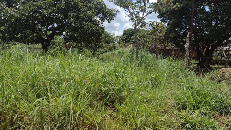 Imagem Terreno à Venda, 360 m² em Parque Alvorada I - Luziânia Imagem Terreno à Venda, 360 m² em Parque Alvorada I - Luziânia