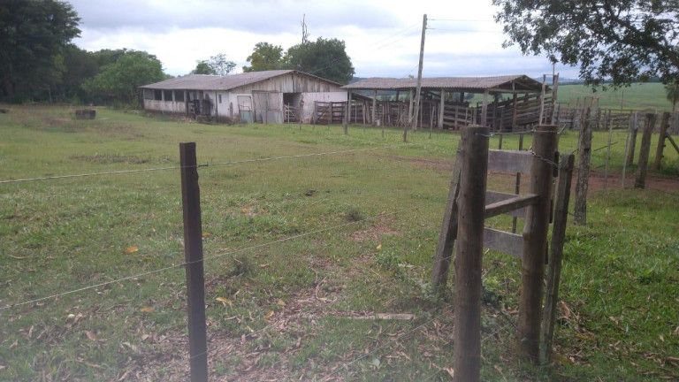 Imagem Fazenda à Venda, 42 m² em Rural - Avaré Imagem Fazenda à Venda, 42 m² em Rural - Avaré