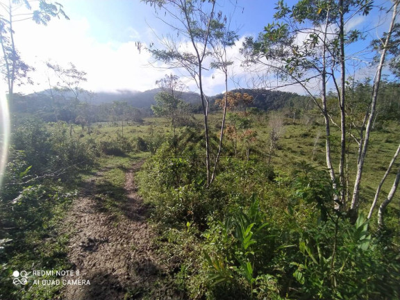Imagem Chácara à Venda, 11 m² em Centro - Miracatu Imagem Chácara à Venda, 11 m² em Centro - Miracatu