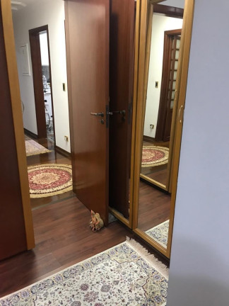 Imagem Imóvel com 3 Quartos à Venda, 120 m² em Vila Moinho Velho - São Paulo Imagem Imóvel com 3 Quartos à Venda, 120 m² em Vila Moinho Velho - São Paulo