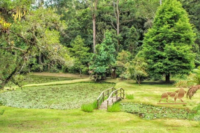 Imagem Terreno à Venda, 1.000 m² em Alto Do Capivari - Campos Do Jordão Imagem Terreno à Venda, 1.000 m² em Alto Do Capivari - Campos Do Jordão