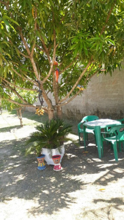 Imagem Imóvel com 3 Quartos à Venda, 300 m² em área Rural De Limeira - Limeira Imagem Imóvel com 3 Quartos à Venda, 300 m² em área Rural De Limeira - Limeira