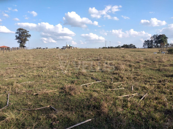 Imagem Imóvel à Venda, 242.000 m² em Santa Cruz Dos Matos - Itapetininga