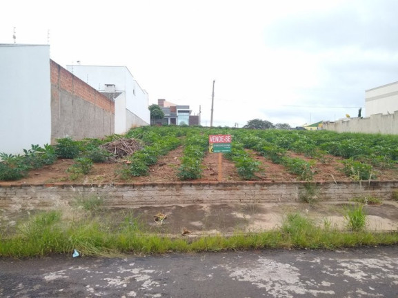 Imóvel à Venda, 248 m² em Pompéia 2 - Jacarezinho