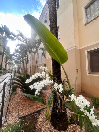 Imagem Apartamento com 2 Quartos à Venda, 38 m² em Ribeirânia - Ribeirão Preto