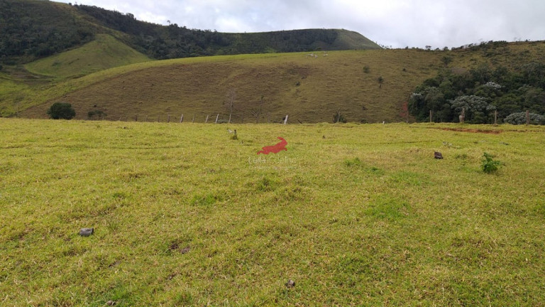 Imagem Fazenda à Venda, 968 m² em Centro - Palmópolis