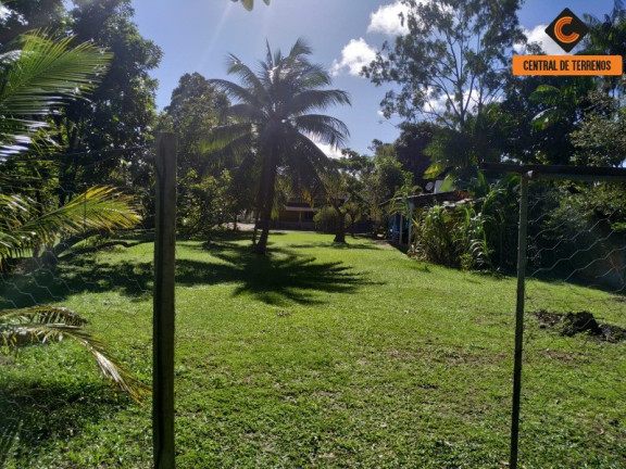 Imagem Imóvel com 6 Quartos à Venda, 4.278 m² em Abrantes - Camaçari