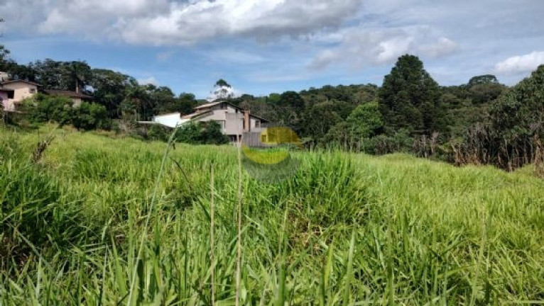 Imagem Terreno à Venda, 1.000 m² em Jardim Colibri - Cotia Imagem Terreno à Venda, 1.000 m² em Jardim Colibri - Cotia