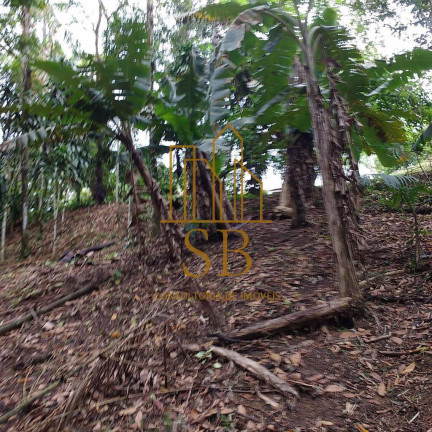Imagem Chácara com 2 Quartos à Venda, 24 m² em Sete Barras Imagem Chácara com 2 Quartos à Venda, 24 m² em Sete Barras