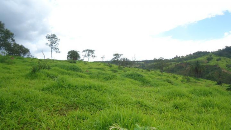 Imagem Fazenda à Venda, 60 m² em Azurita - Mateus Leme Imagem Fazenda à Venda, 60 m² em Azurita - Mateus Leme