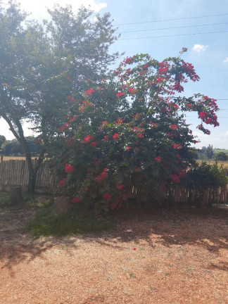 Imagem Fazenda à Venda, 22.626 m² em Vila São Guido - Pirassununga