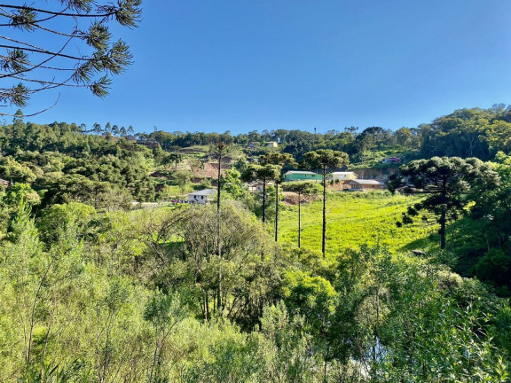 Imagem Fazenda à Venda, 220 m² em Boichininga - Almirante Tamandare Imagem Fazenda à Venda, 220 m² em Boichininga - Almirante Tamandare