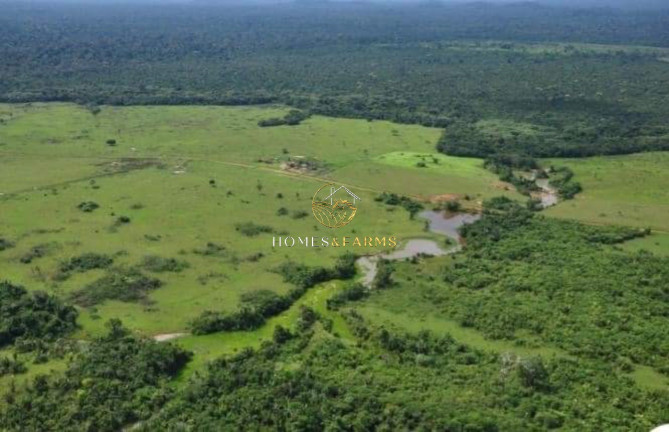 Imagem Imóvel com 3 Quartos à Venda, 149.515 m² em Centro - Rondolandia Imagem Imóvel com 3 Quartos à Venda, 149.515 m² em Centro - Rondolandia