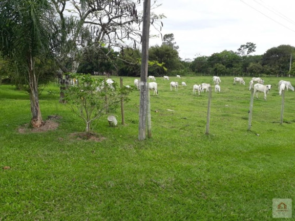 Fazenda à Venda, 8 m² em Camburi - Maricá