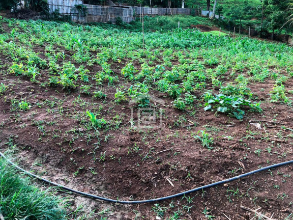 Imagem Imóvel com 2 Quartos à Venda, 1 m² em Correias (rural) - Bandeira Do Sul
