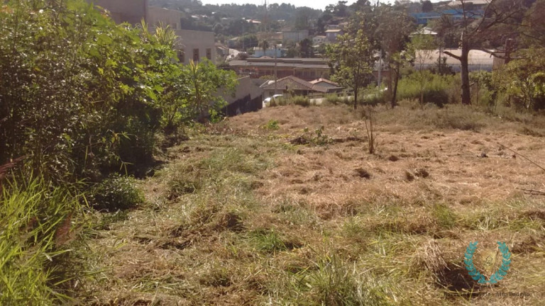 Imagem Terreno à Venda, 7.854 m² em Centro (são João Novo) - São Roque Imagem Terreno à Venda, 7.854 m² em Centro (são João Novo) - São Roque