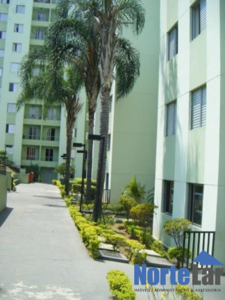 Imagem Apartamento com 2 Quartos à Venda, 50 m² em Vila Amélia - São Paulo