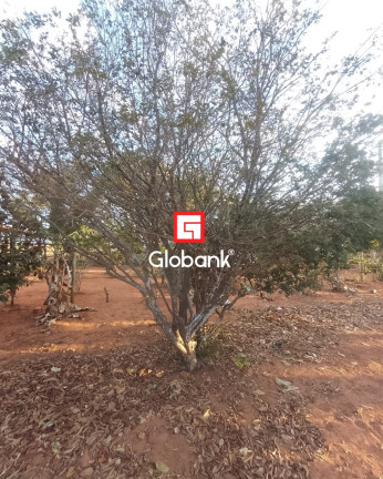 Imagem Imóvel com 2 Quartos à Venda, 2.750 m² em Bocaiuva - Montes Claros