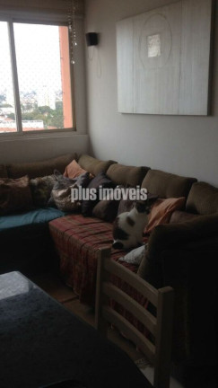 Imagem Apartamento com 2 Quartos à Venda, 54 m² em Vila Santa Catarina - São Paulo