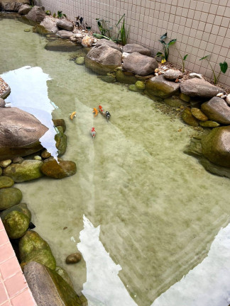 Imagem Apartamento com 2 Quartos à Venda, 69 m² em Tupi - Praia Grande
