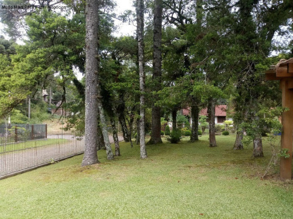 Imagem Casa com 4 Quartos à Venda, 280 m² em Sinoserra - Canela Imagem Casa com 4 Quartos à Venda, 280 m² em Sinoserra - Canela