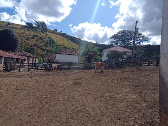 Imagem Fazenda à Venda, 100 m² em Zona Rural - Aiuruoca