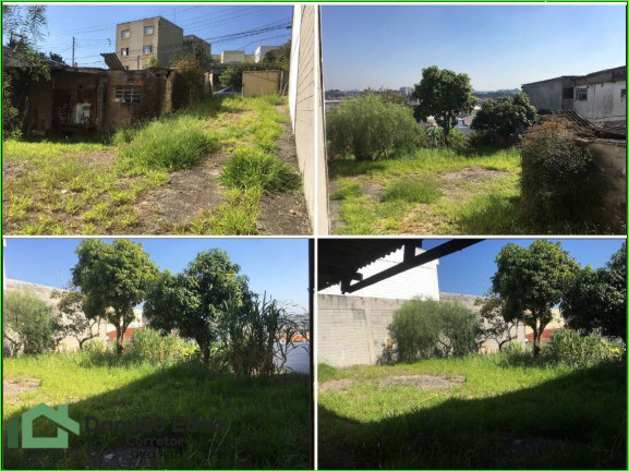 Imagem Terreno à Venda, 800 m² em Jordanópolis - São Bernardo Do Campo Imagem Terreno à Venda, 800 m² em Jordanópolis - São Bernardo Do Campo