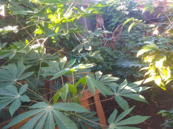 Imagem Casa com 2 Quartos à Venda, 100 m² em Jardim Jóquei Clube - Ribeirão Preto Imagem Casa com 2 Quartos à Venda, 100 m² em Jardim Jóquei Clube - Ribeirão Preto