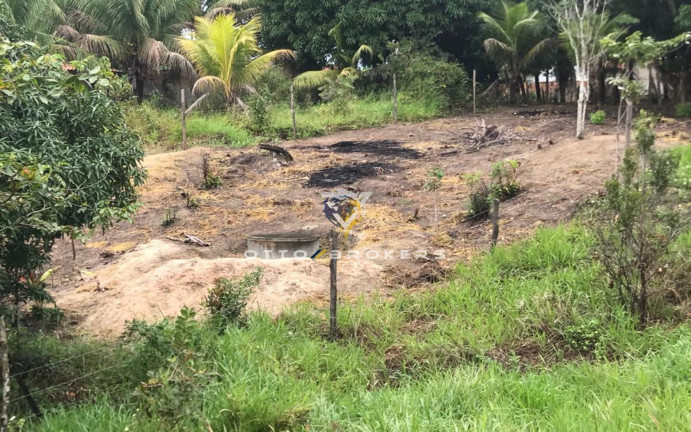 Imagem Terreno à Venda, 7.500 m² em Tânia - Santa Cruz Cabrália