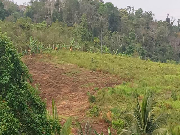 Imagem Fazenda à Venda, 10.000 m² em Taboquinhas - Itacaré Imagem Fazenda à Venda, 10.000 m² em Taboquinhas - Itacaré