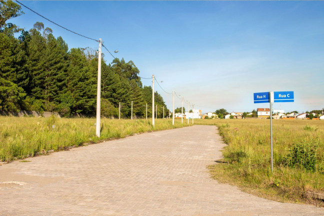 Imagem Terreno à Venda, 559 m² em Camobi - Santa Maria Imagem Terreno à Venda, 559 m² em Camobi - Santa Maria