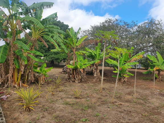 Imagem Imóvel com 3 Quartos à Venda, 8.000 m² em Aracoiabinha - Araçoiaba Da Serra Imagem Imóvel com 3 Quartos à Venda, 8.000 m² em Aracoiabinha - Araçoiaba Da Serra