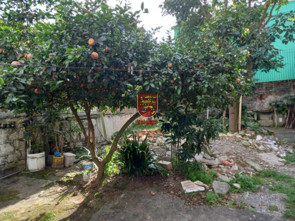 Imagem Casa com 4 Quartos à Venda, 310 m² em Estreito - Florianópolis
