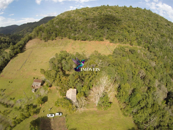 Imagem Imóvel à Venda, 240.000 m² em Linha Forqueta - Gramado Imagem Imóvel à Venda, 240.000 m² em Linha Forqueta - Gramado